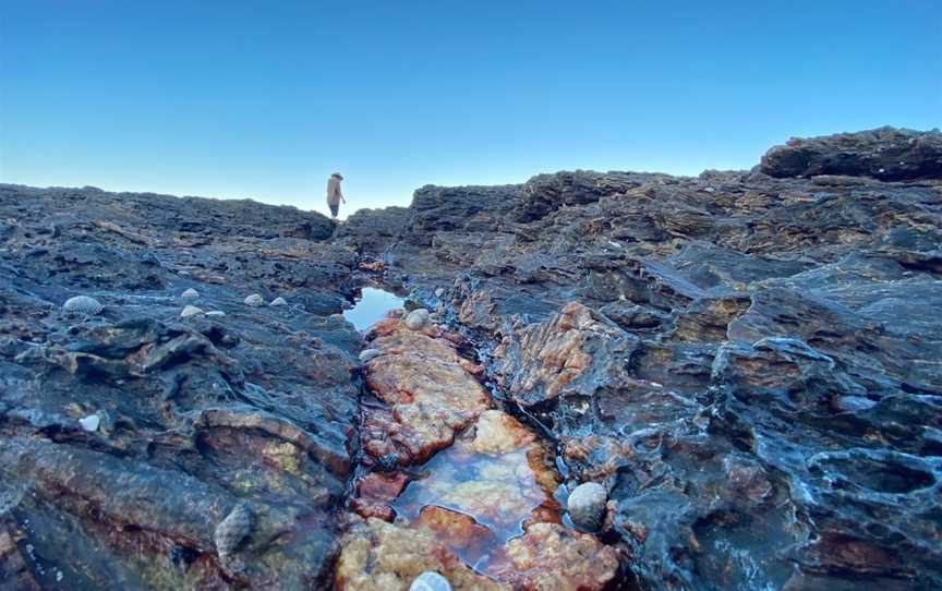 Wellington Rocks, Nambucca Heads, NSW