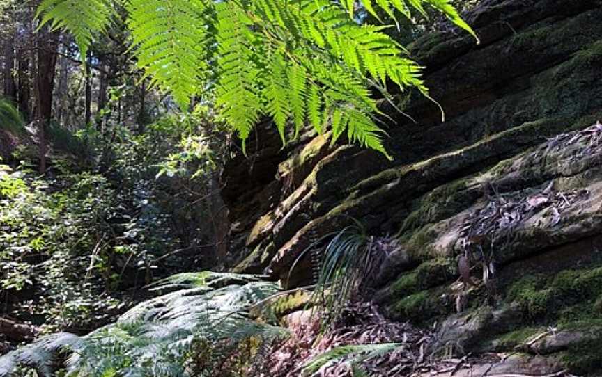 Yoogali Lookout, Blaxland, NSW