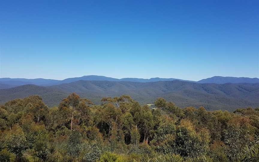 Bimberamala National Park, Mogood, NSW