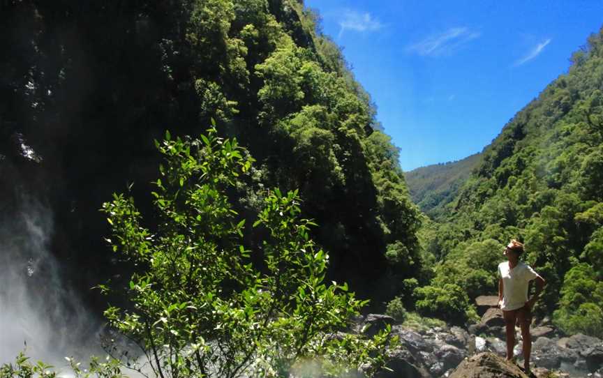 Biriwal Bulga National Park, Mount Seaview, NSW