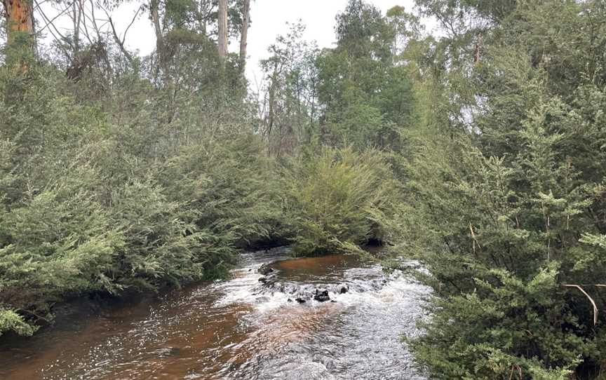 Blackwood Suspension Bridge, Murrindindi, VIC