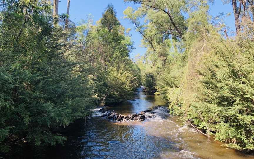 Blackwood Suspension Bridge, Murrindindi, VIC