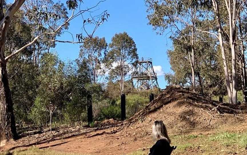 Cooinda Reserve, West Wyalong, NSW