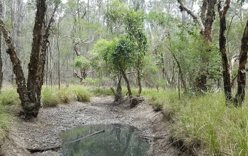 Columbey National Park, Clarence Town, NSW