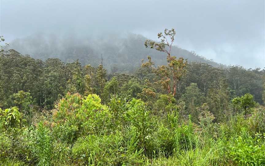 Ghin-Doo-Ee National Park, Upper Crystal Creek, NSW