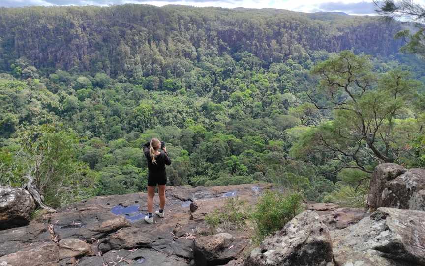 Goonengerry National Park, Mullumbimby, NSW