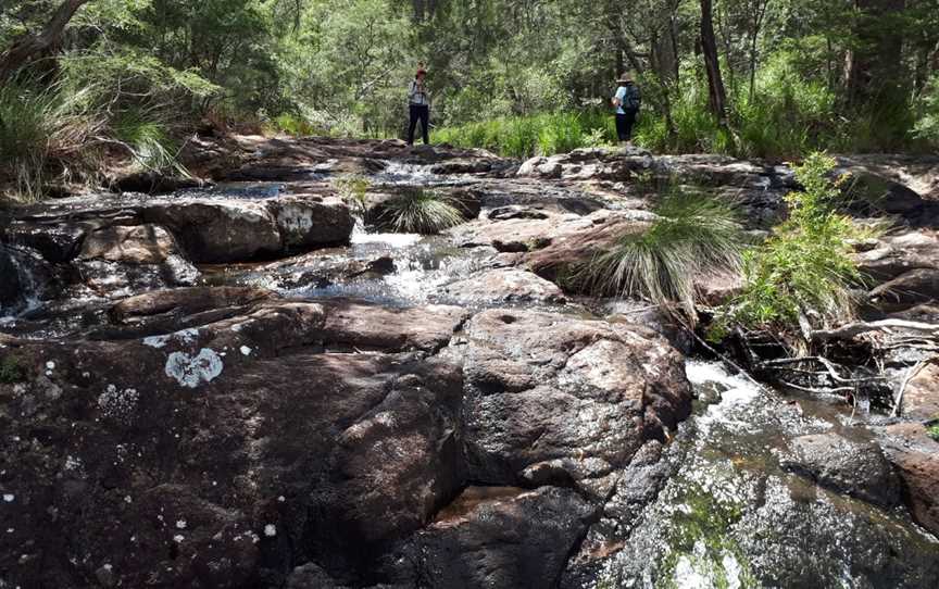 Goonengerry National Park, Mullumbimby, NSW