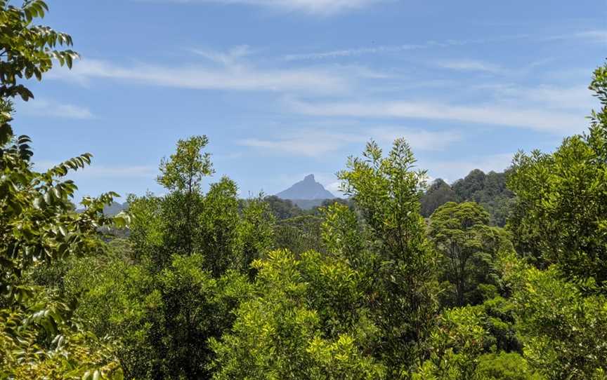 Mooball National Park, Burringbar, NSW