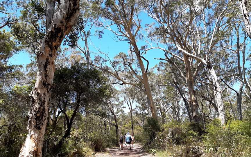 Mooloolah River National Park, Sippy Downs, QLD