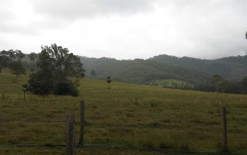 Oakview National Park, Oakview, QLD