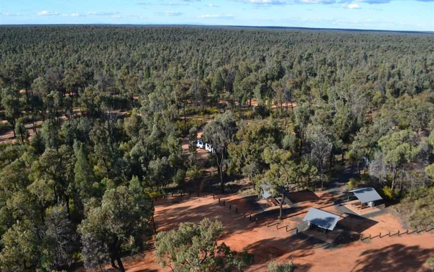 Timmallallie National Park, Bugaldie, NSW