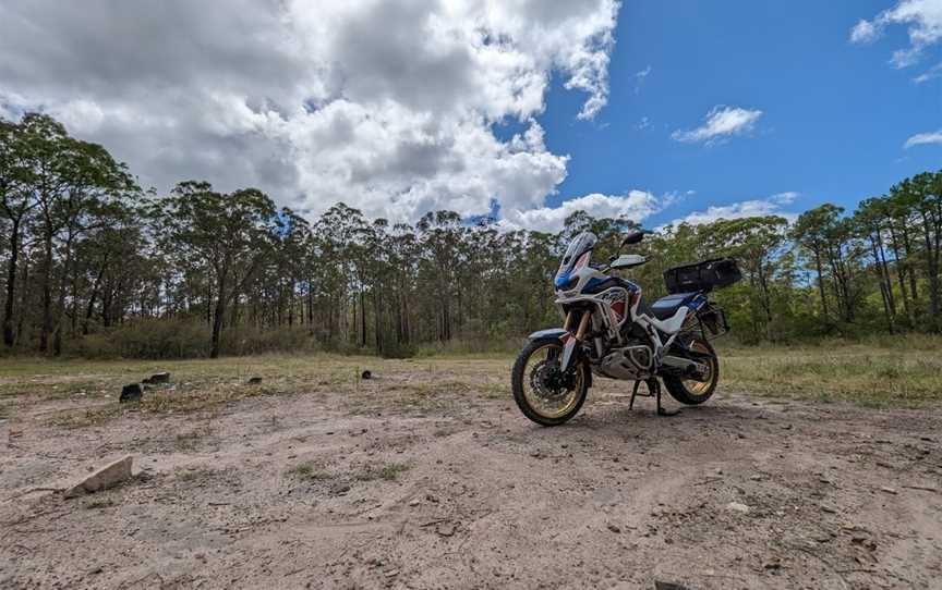 Wallaroo National Park, Clarence Town, NSW