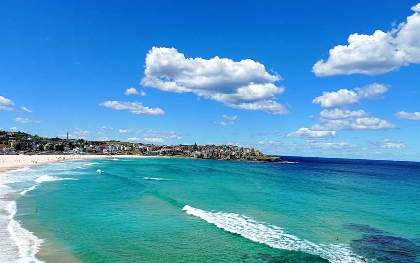 Bondi Beach Park, Bondi Beach, NSW