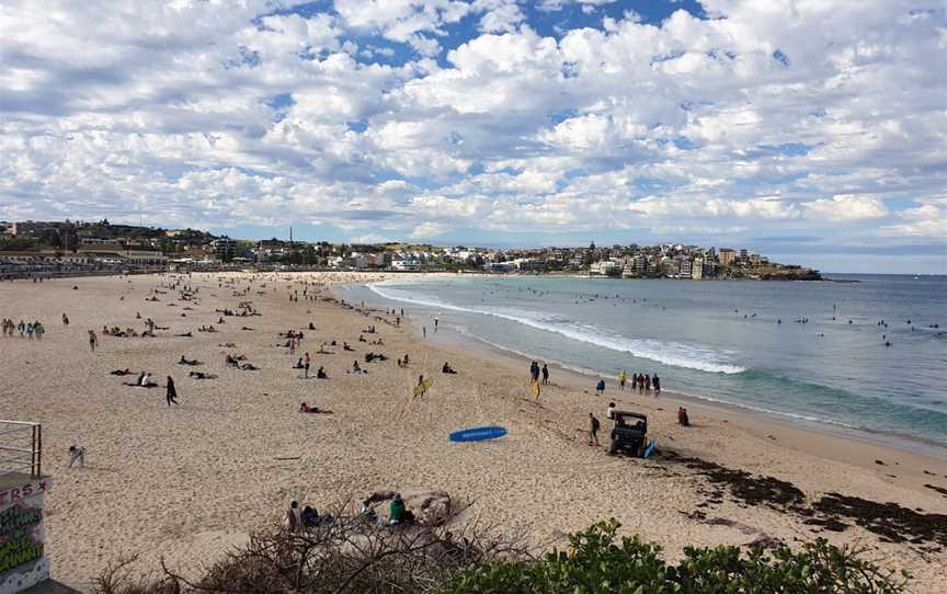 Bondi Beach Park, Bondi Beach, NSW