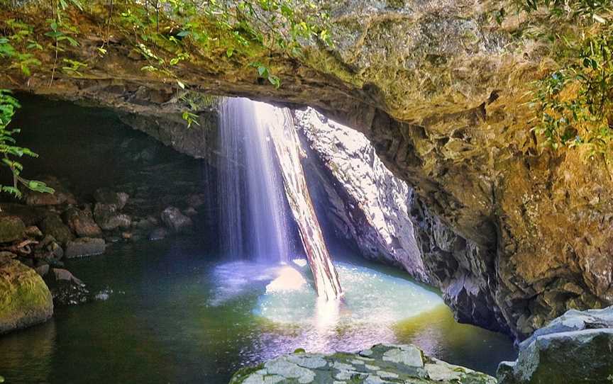 Springbrook National Park, Springbrook, QLD