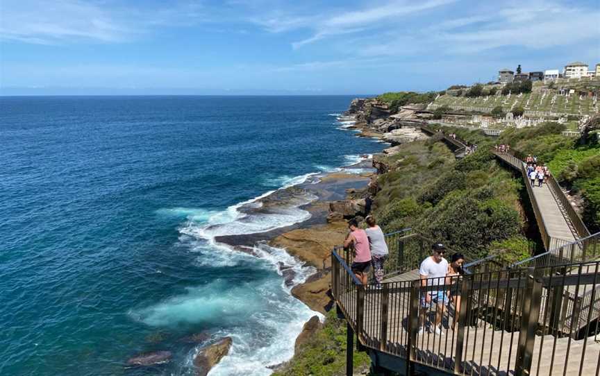 Bondi to Coogee Walk, Coogee, NSW