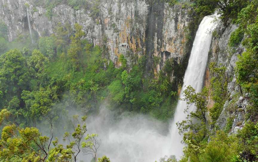 Purling Brook Falls, Springbrook National Park, Springbrook, QLD