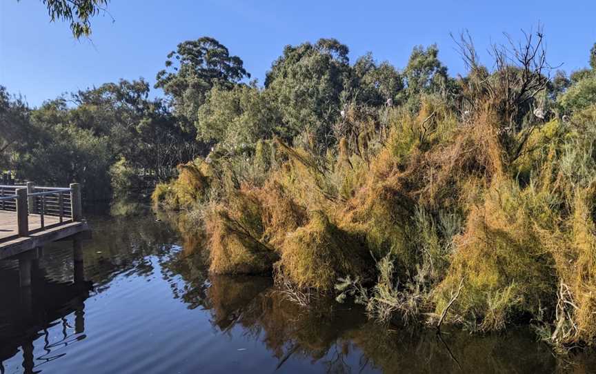 Tomato Lake, Kewdale, WA