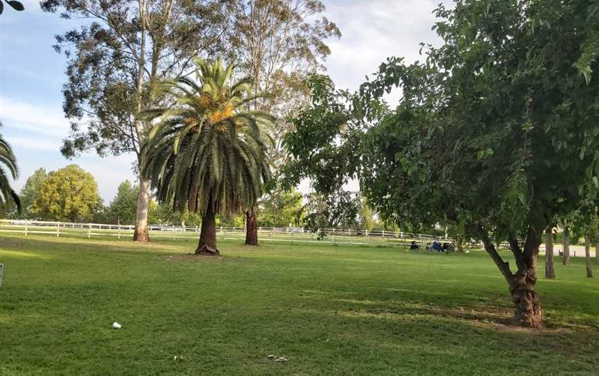 Tench Reserve, Jamisontown, NSW