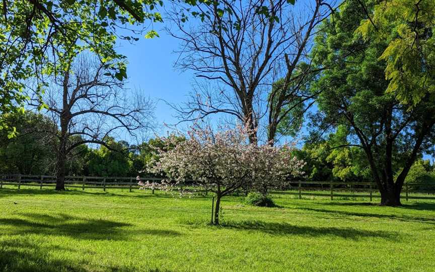 Tench Reserve, Jamisontown, NSW