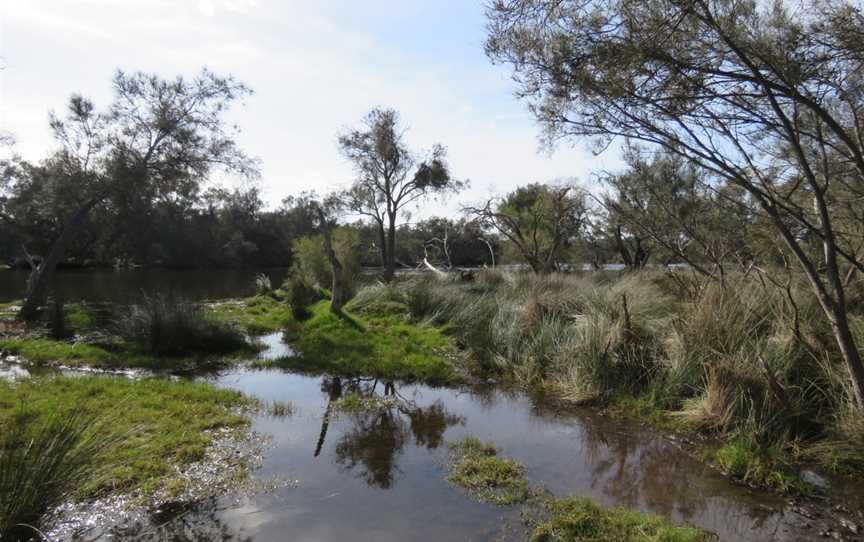 Canning River Regional Park, Ferndale, WA