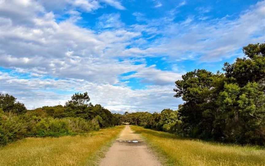 Langwarrin Flora and Fauna Reserve, Langwarrin, VIC