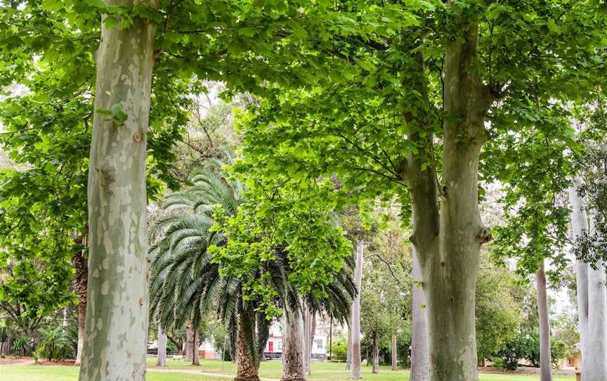 Hunter Park, Gilgandra, NSW