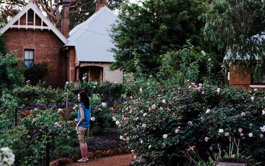 Heritage Rose Garden, Pinjarra, WA