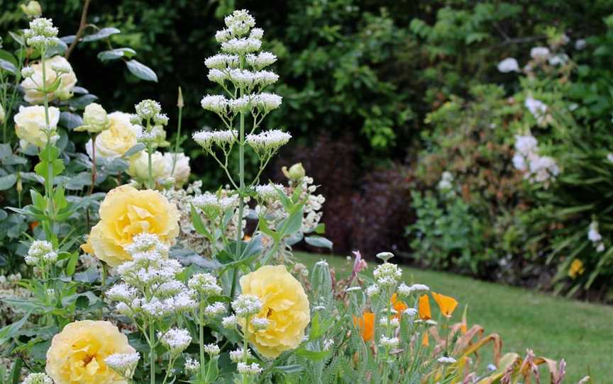 The Garden at Broughton Hall, Jindivick, VIC