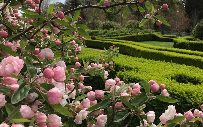 Red Hill Peony Estate, Red Hill, VIC