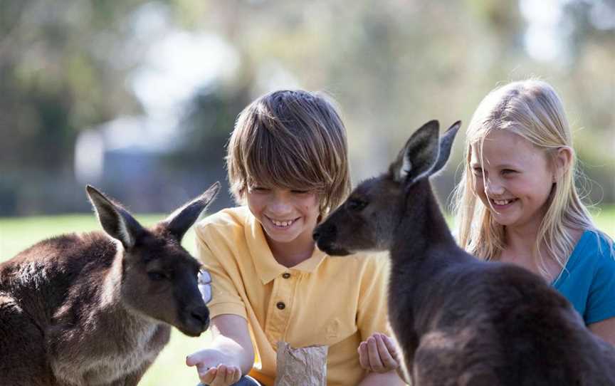 Cleland Wildlife Park, Crafers, SA