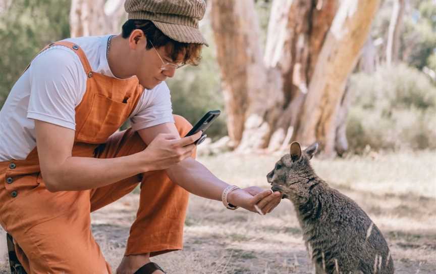 Cleland Wildlife Park, Crafers, SA