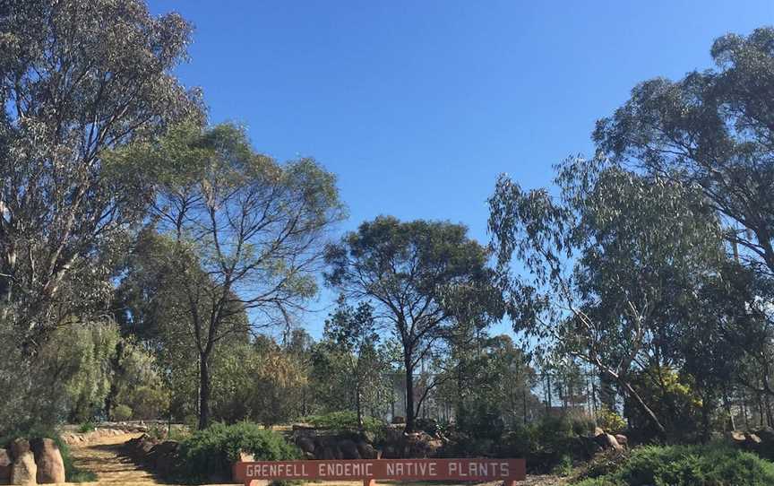 Grenfell Endemic Garden, Grenfell, NSW