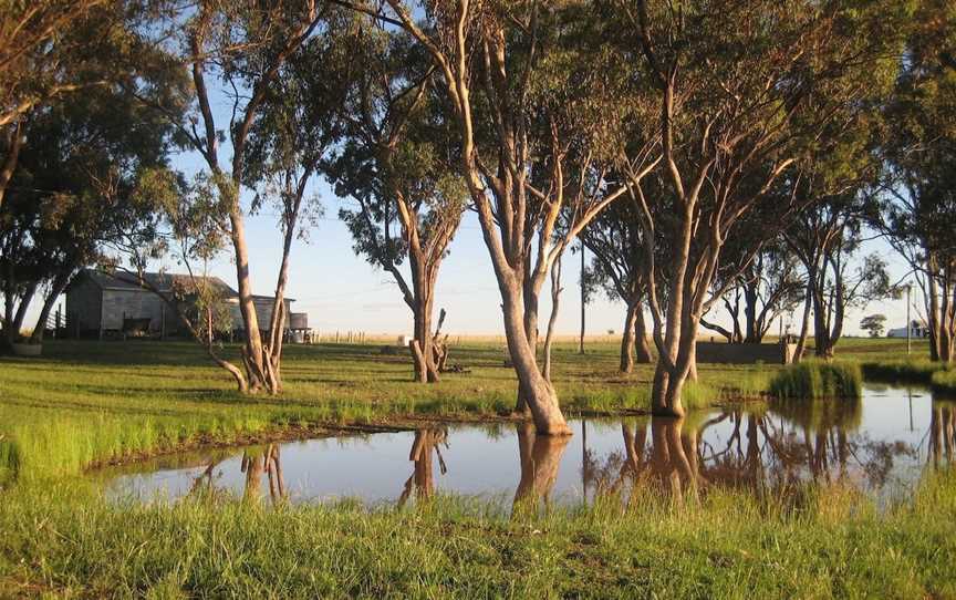 Wyoming Lavender Estate, Mount Russell, NSW