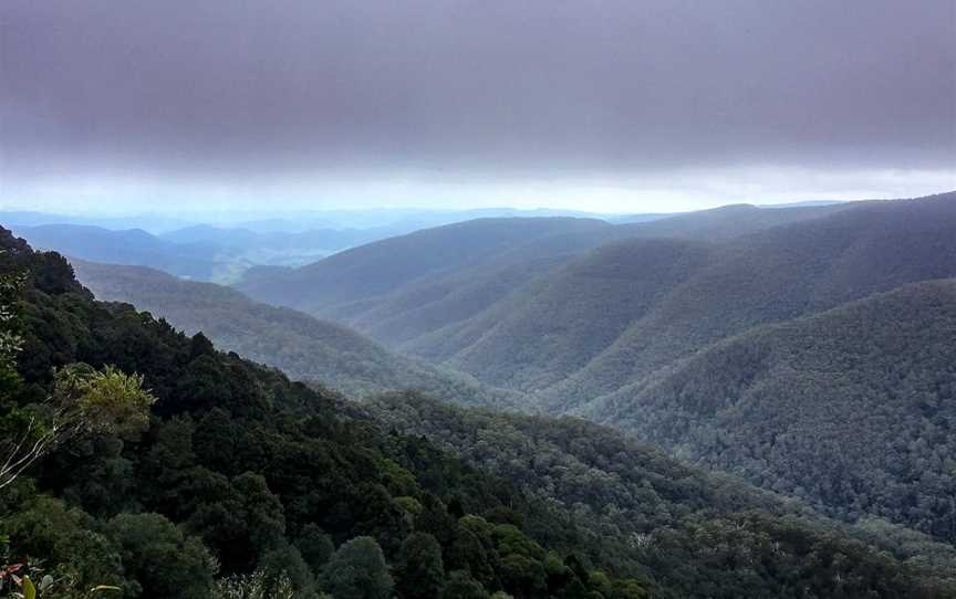 Barrington Tops State Forest, Gloucester, NSW