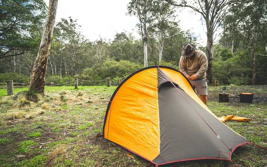 Barrington Tops State Forest, Gloucester, NSW