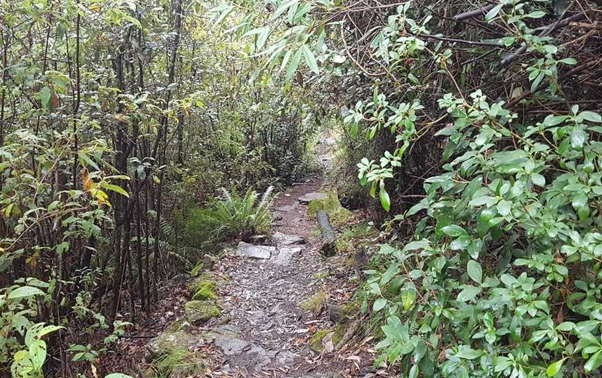 Fainter Falls, Mount Beauty, VIC