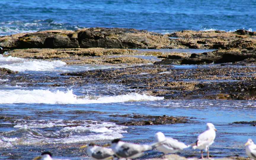 Bluff Beach, Iluka, NSW