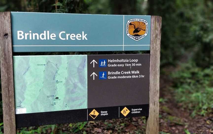 Brindle Creek picnic area, Border Ranges, NSW