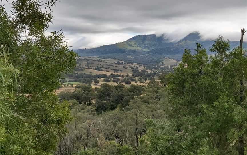 Burning Mountain Nature Reserve, Wingen, NSW