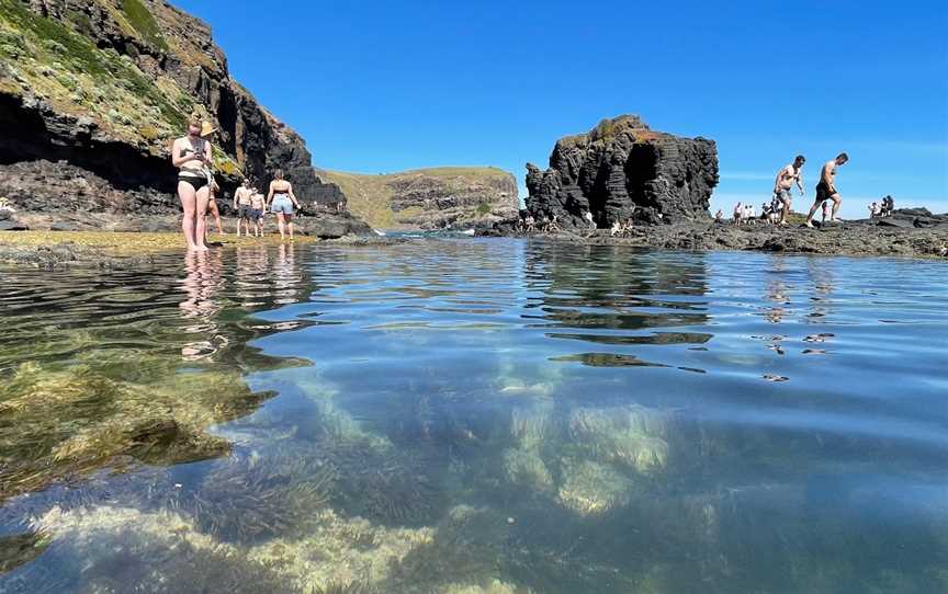 Bushrangers Bay, Cape Schanck, VIC