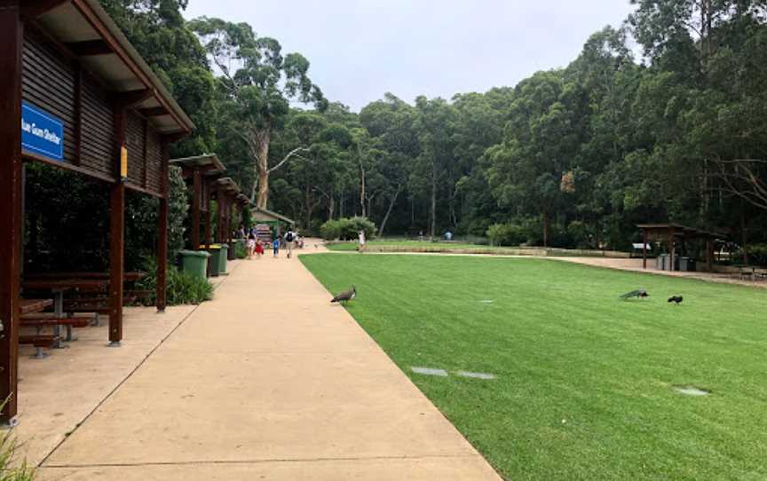 Blackbutt Reserve, Kotara, NSW