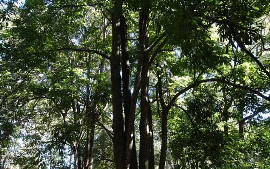 Ravensbourne National Park, Ravensbourne, QLD