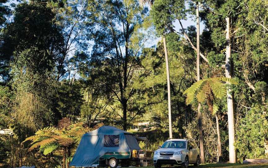 Broken River, Eungella, QLD