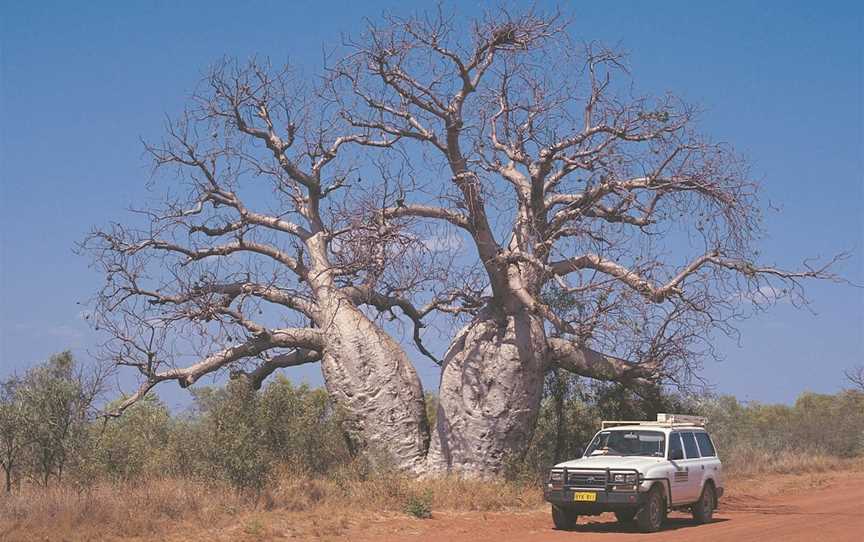 Gibb River Road, Derby, WA