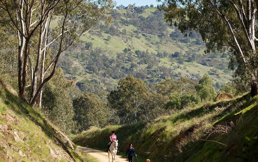 Trawool Valley, Trawool, VIC