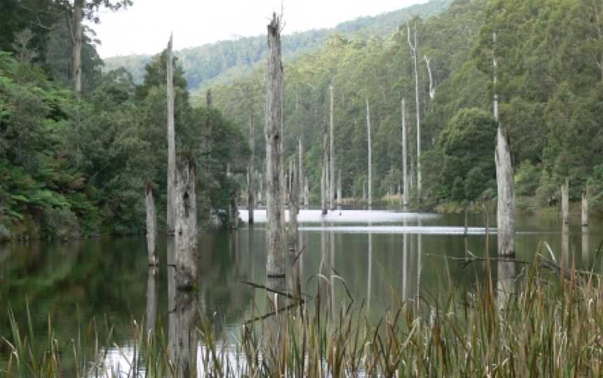 Great Otway National Park, Lorne, VIC