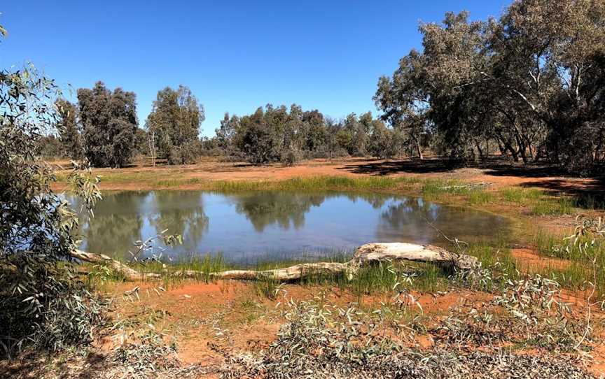 Toorale National Park, Gumbalie, NSW