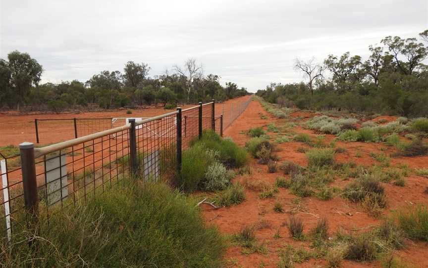 Toorale National Park, Gumbalie, NSW