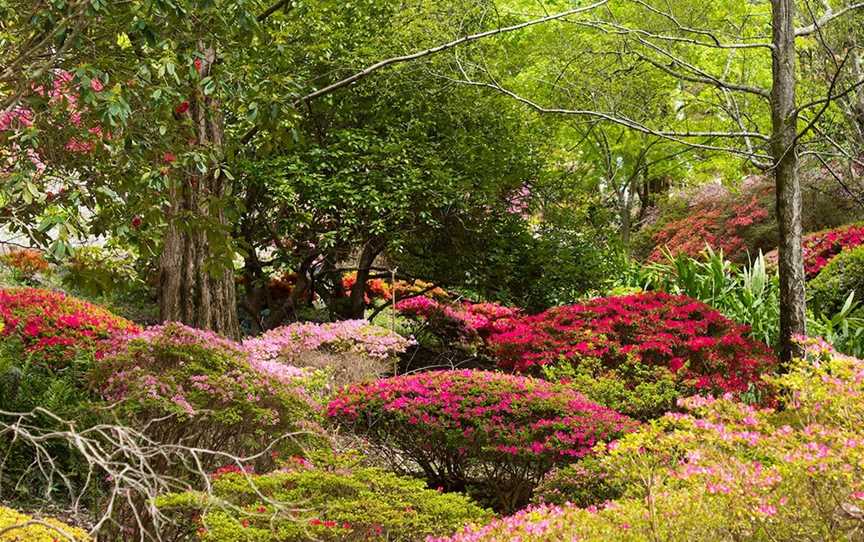 Mount Lofty Botanic Garden, Crafers, SA